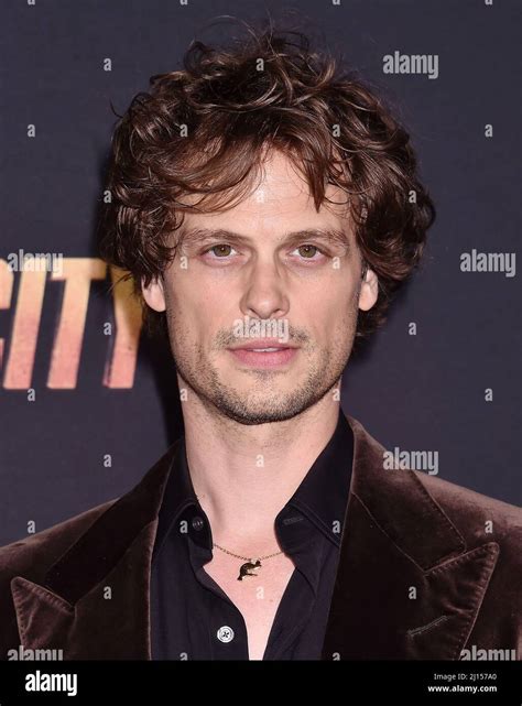 matthew gray gubler salary.